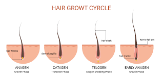 Yildiz Hair Loss Follicle Booster